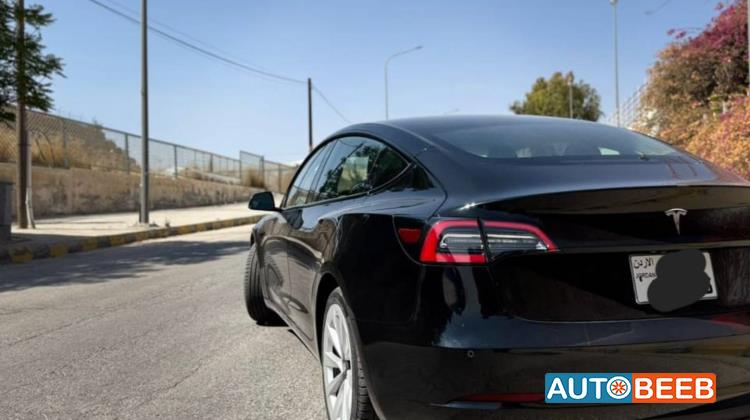 Tesla 3 2022