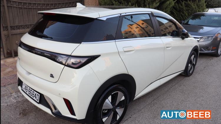 BYD Dolphin 2023