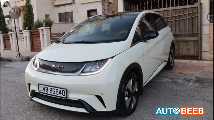 BYD Dolphin 2023