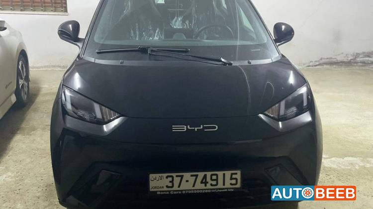 بي واي دي سيجول 2023