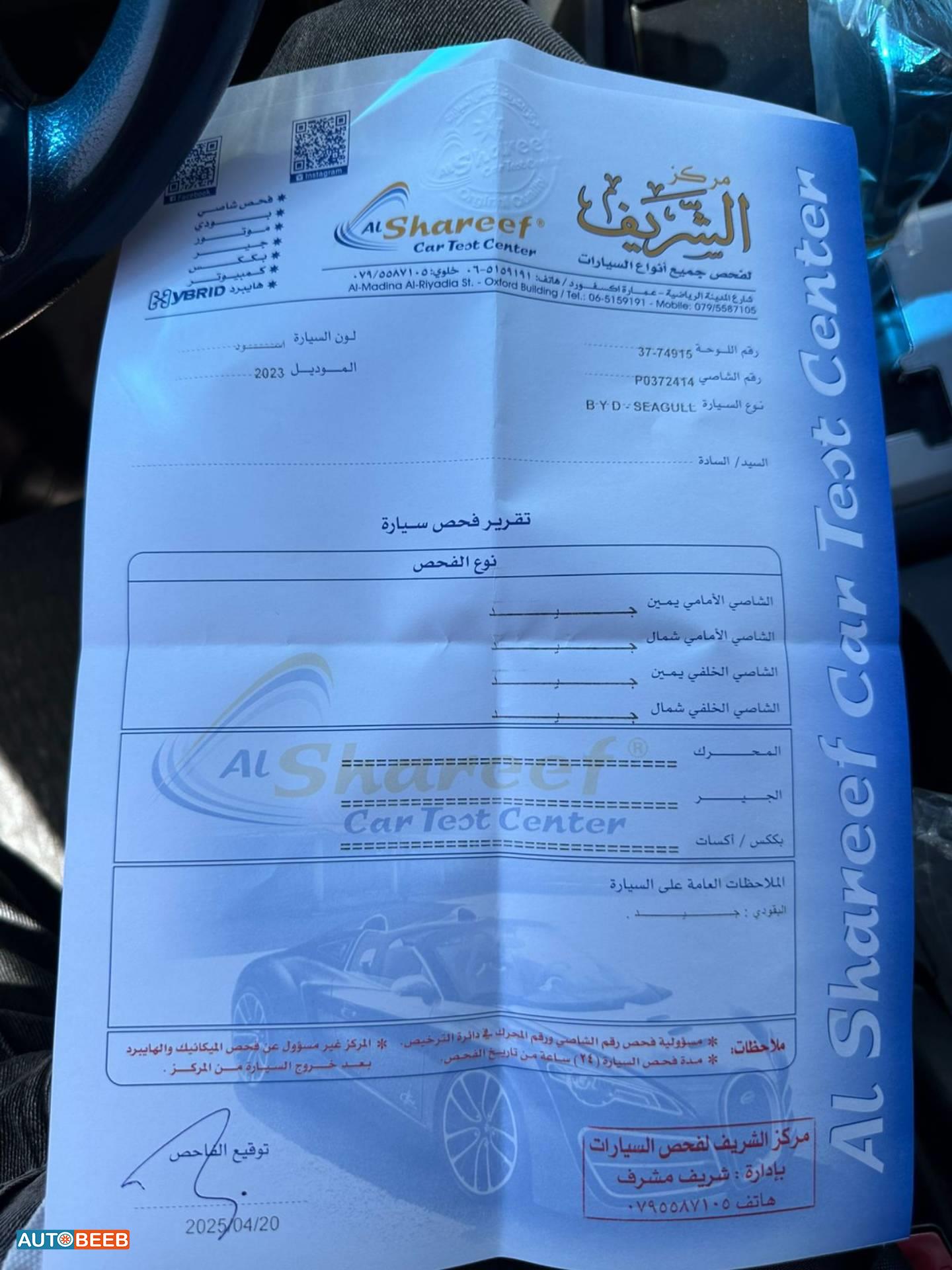 بي واي دي سيجول 2023