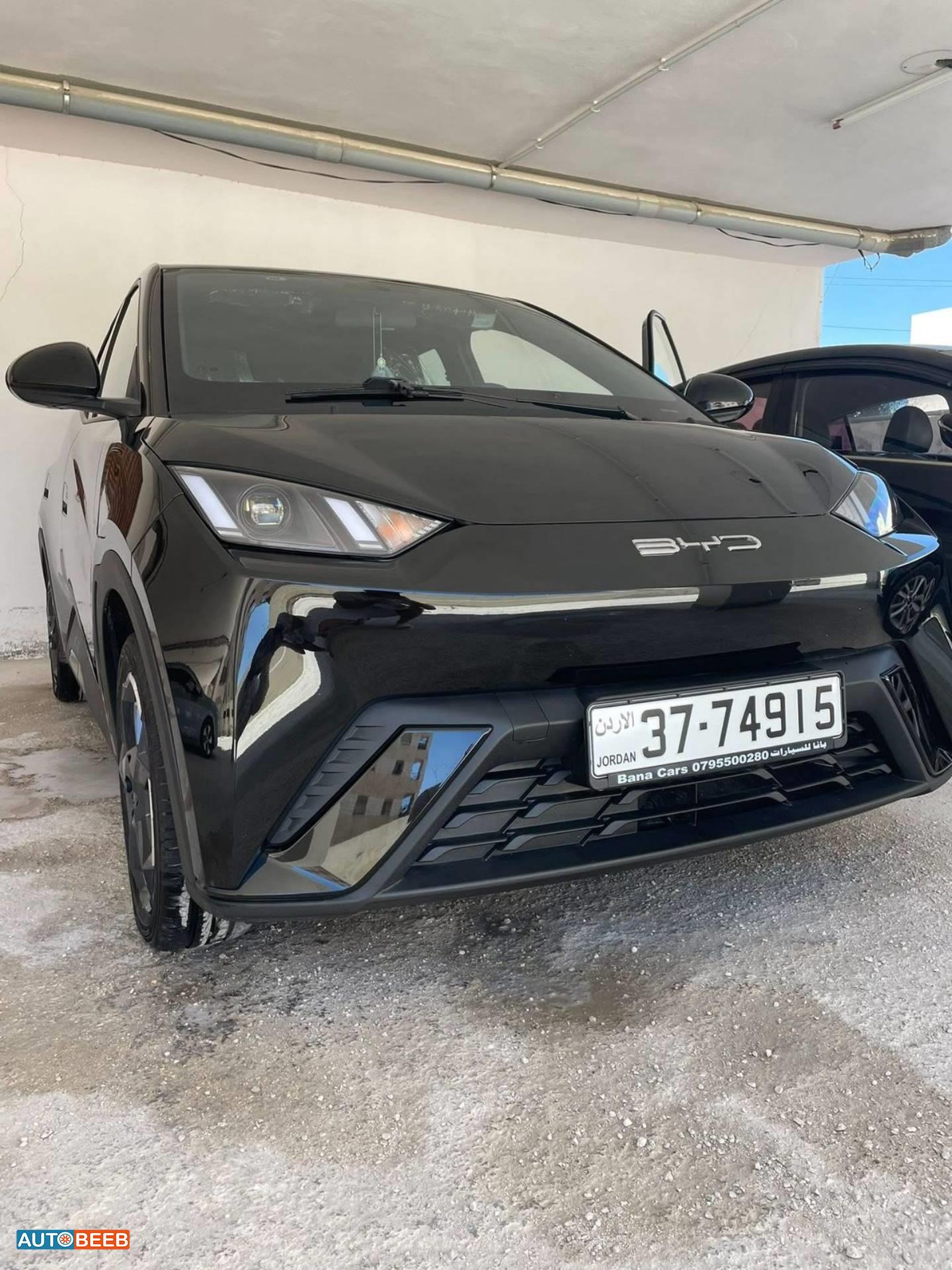 بي واي دي سيجول 2023