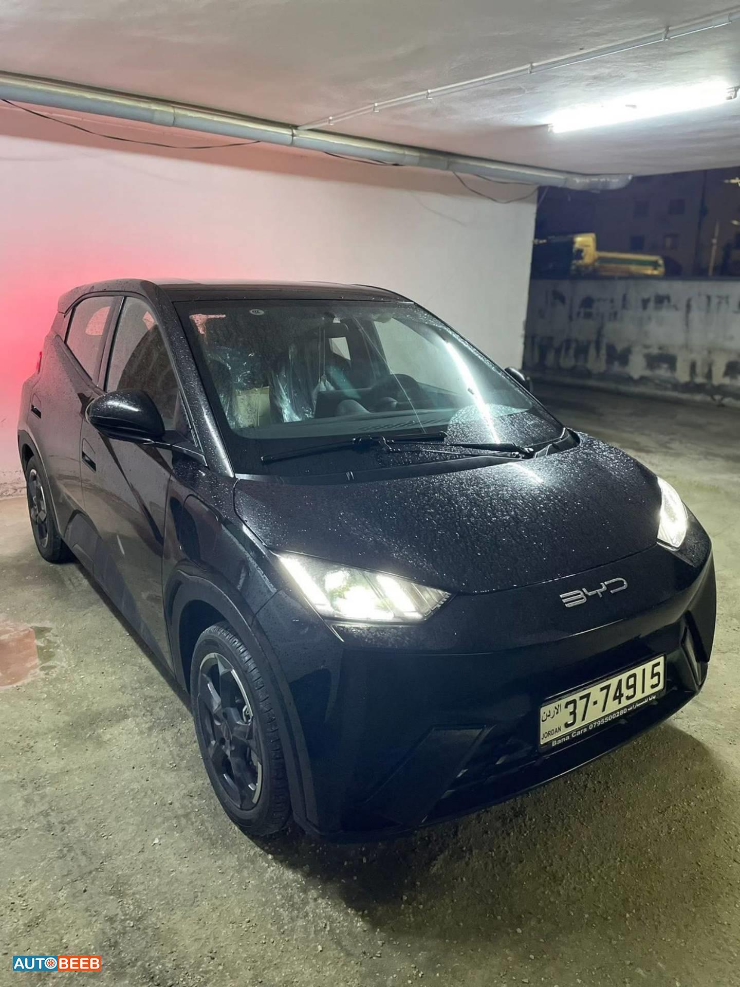 بي واي دي سيجول 2023