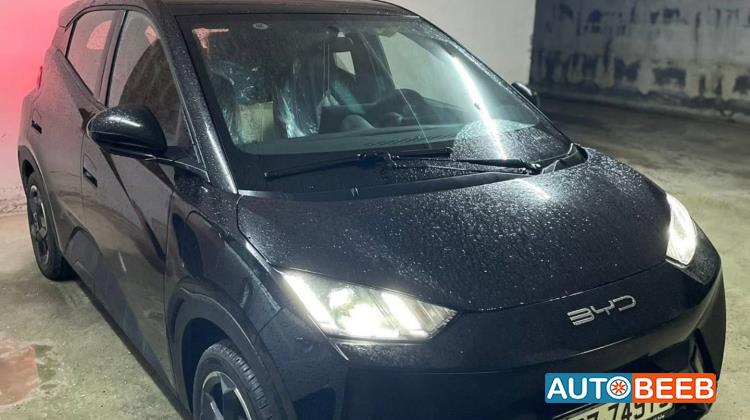 بي واي دي سيجول 2023