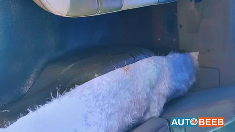 ميني باص كيا 2005