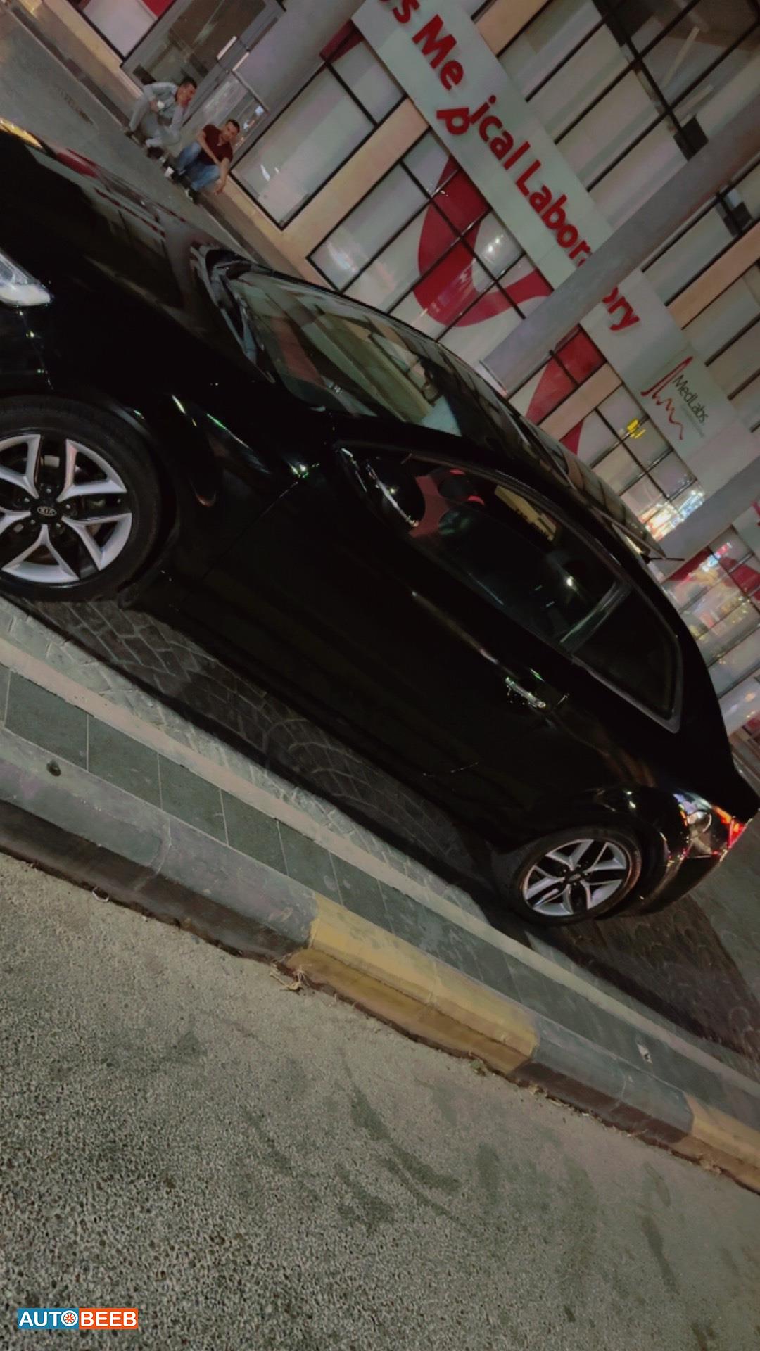 كيا فورتي 2013