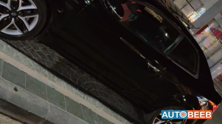 كيا فورتي 2013