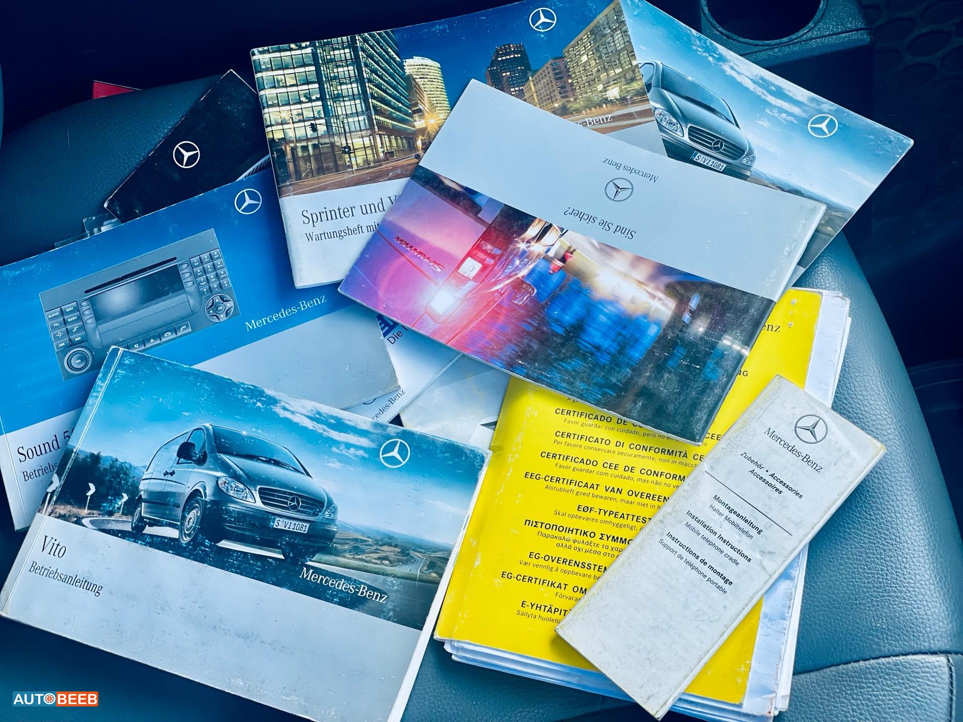 ميني فان مرسيدس بنز 2009