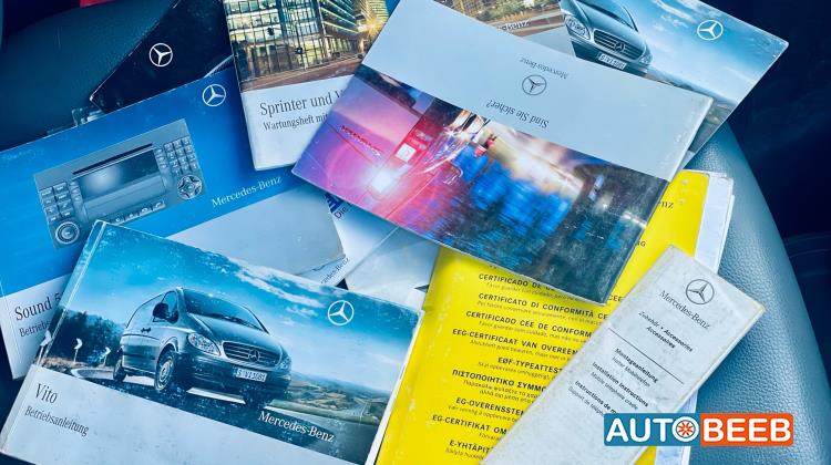 ميني فان مرسيدس بنز 2009