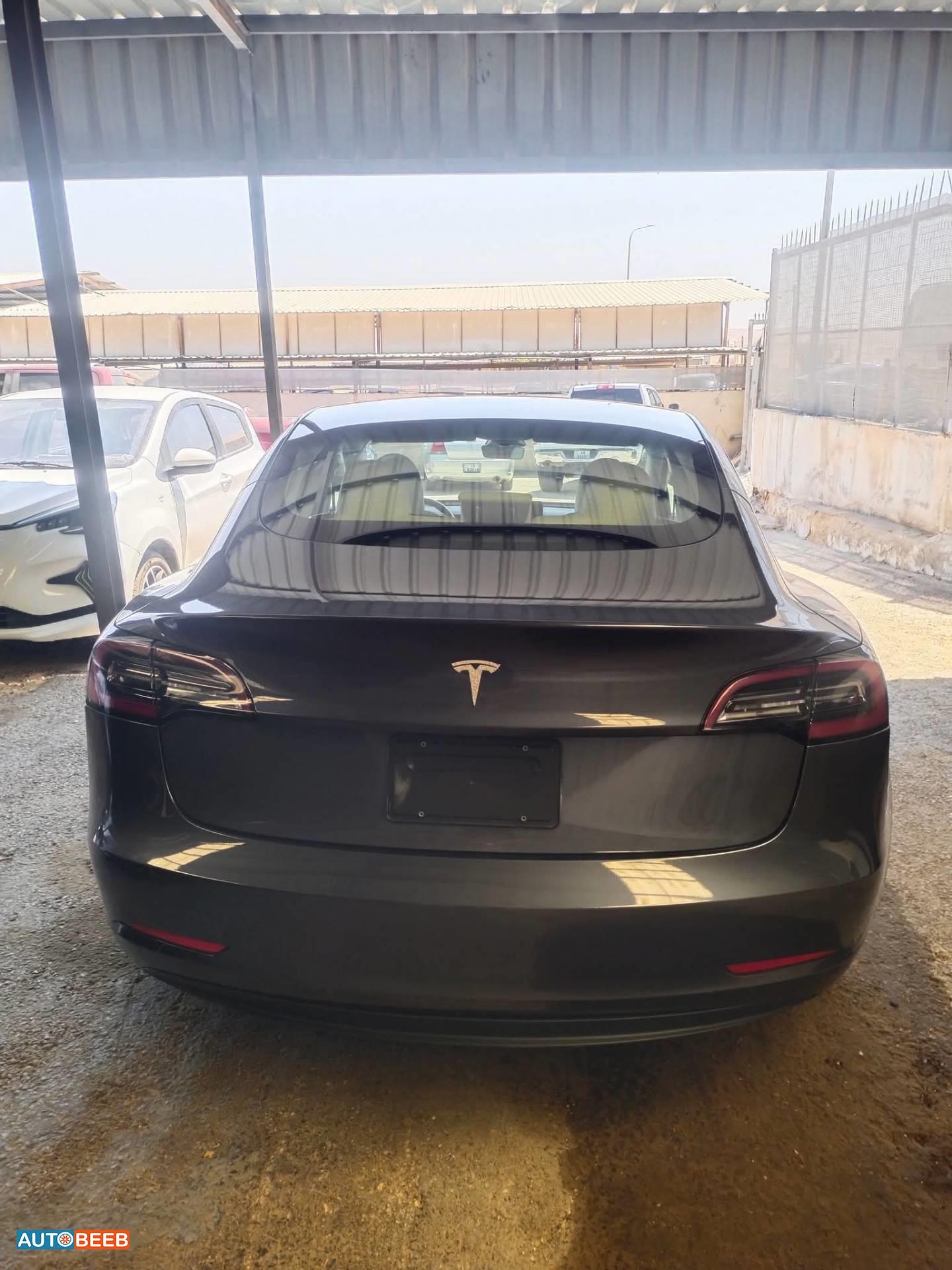 Tesla 3 2023