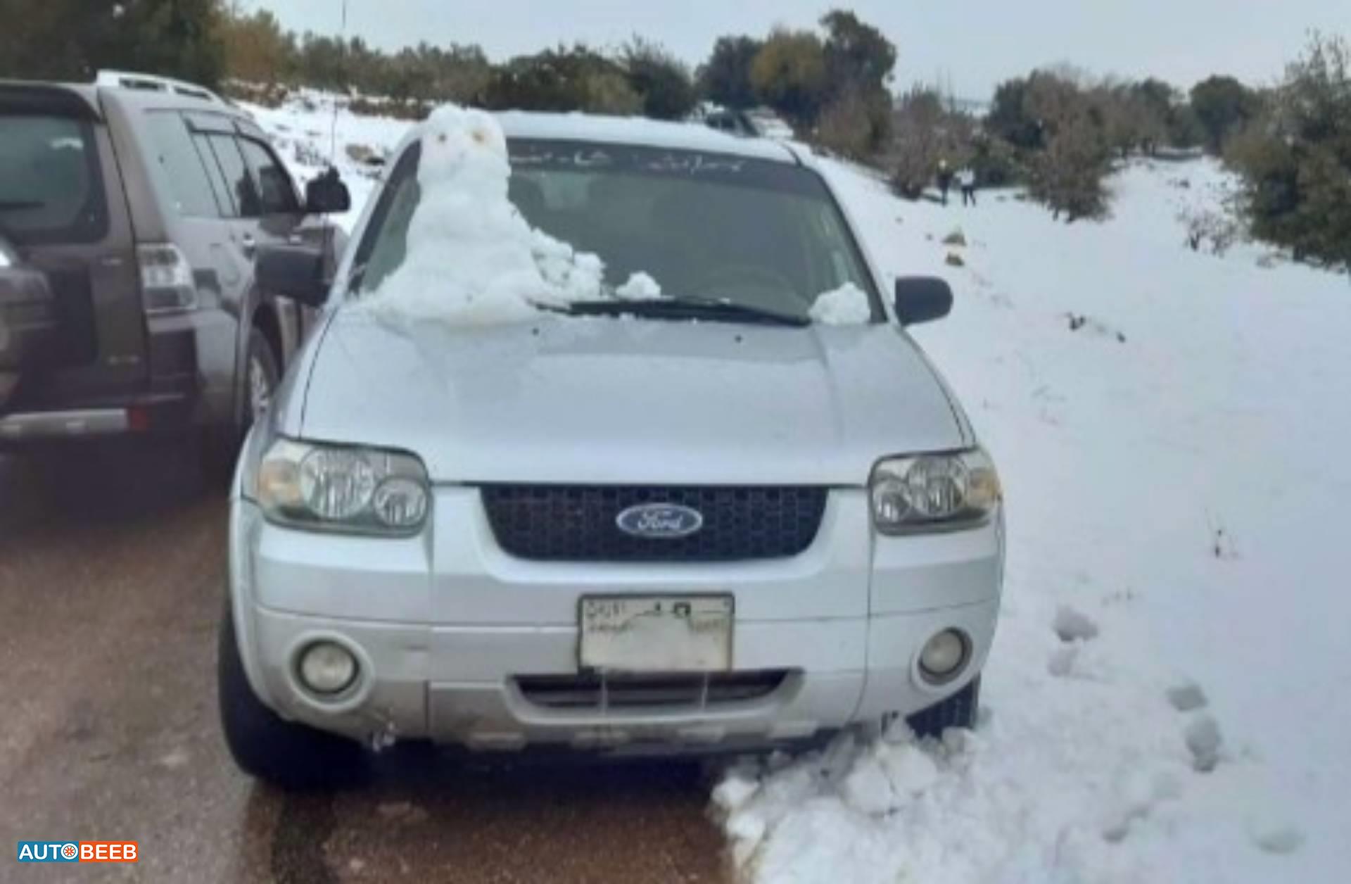 فورد اسكايب 2007