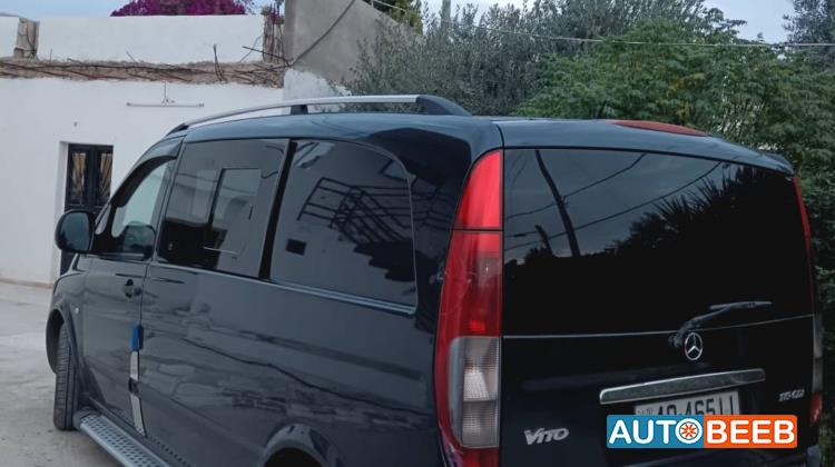 ميني فان مرسيدس بنز 2007