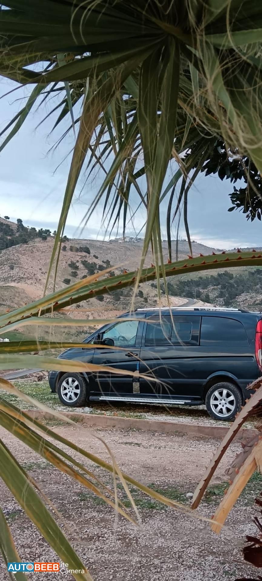 ميني فان مرسيدس بنز 2007