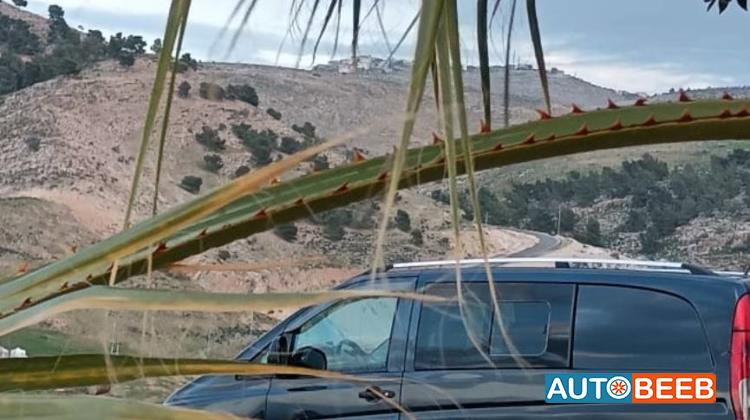 ميني فان مرسيدس بنز 2007