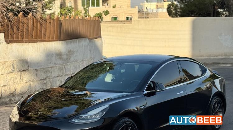 Tesla 3 2019