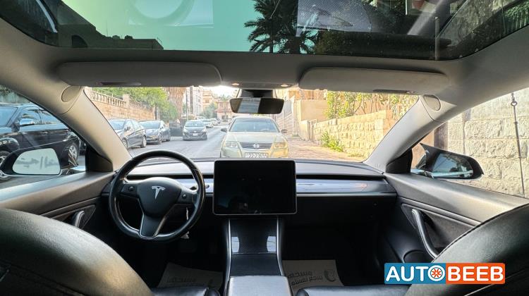 Tesla 3 2019