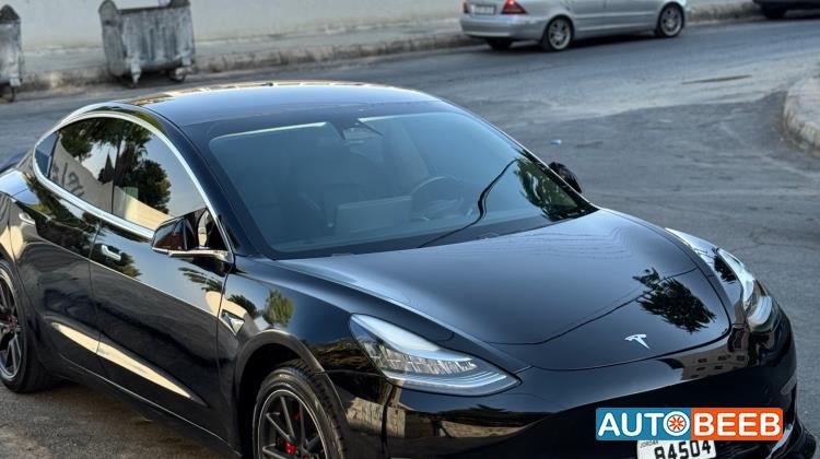 Tesla 3 2019