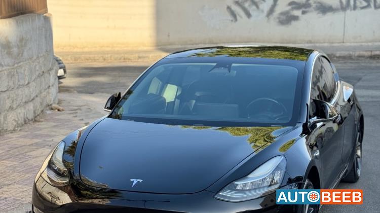 Tesla 3 2019