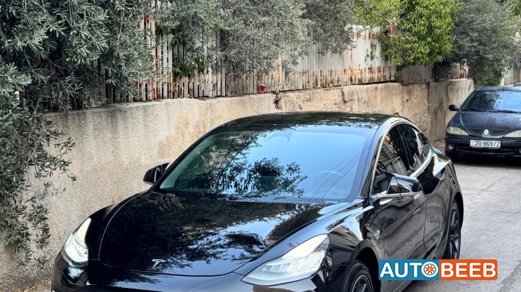 Tesla 3 2019