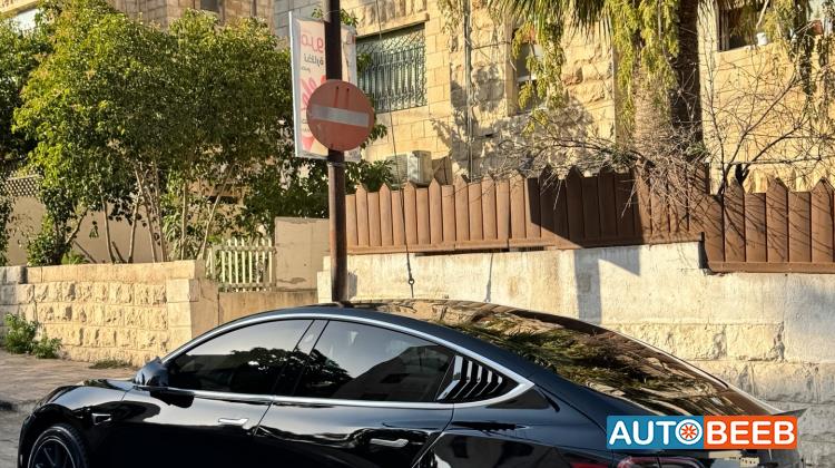 Tesla 3 2019