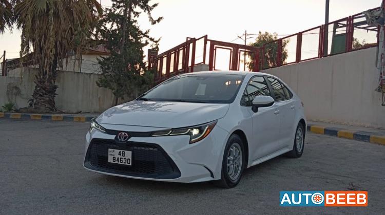 تويوتا كورولا 2022