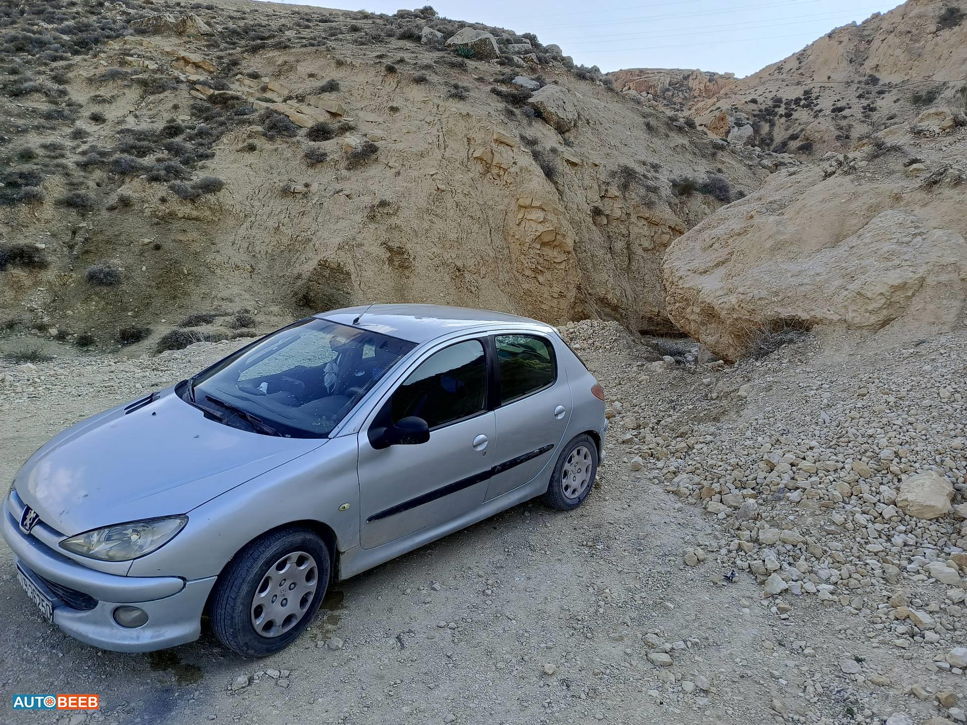 Peugeot 206 2006