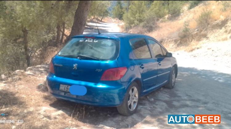 بيجو 307 2004