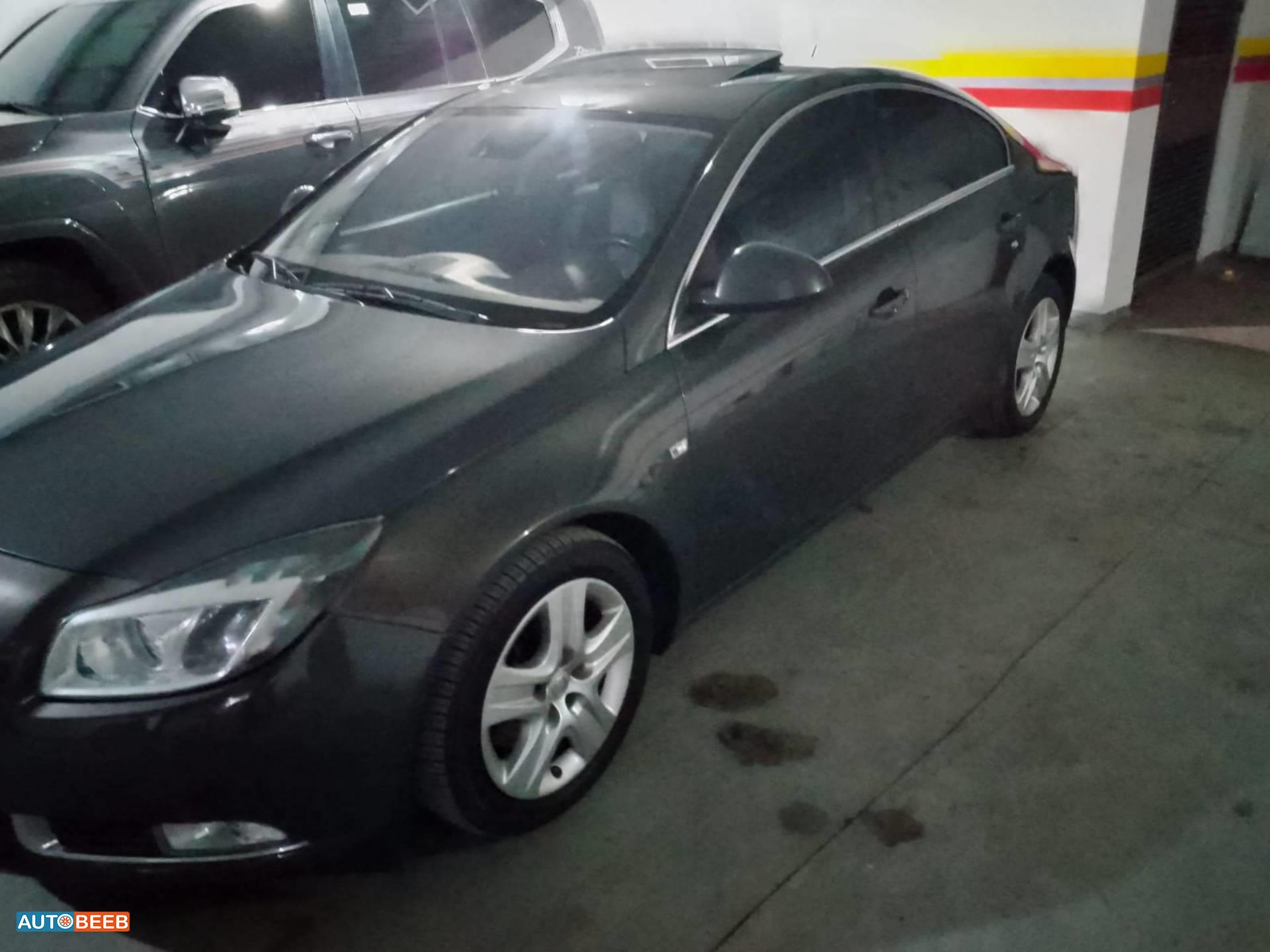 Opel Insignia 2013