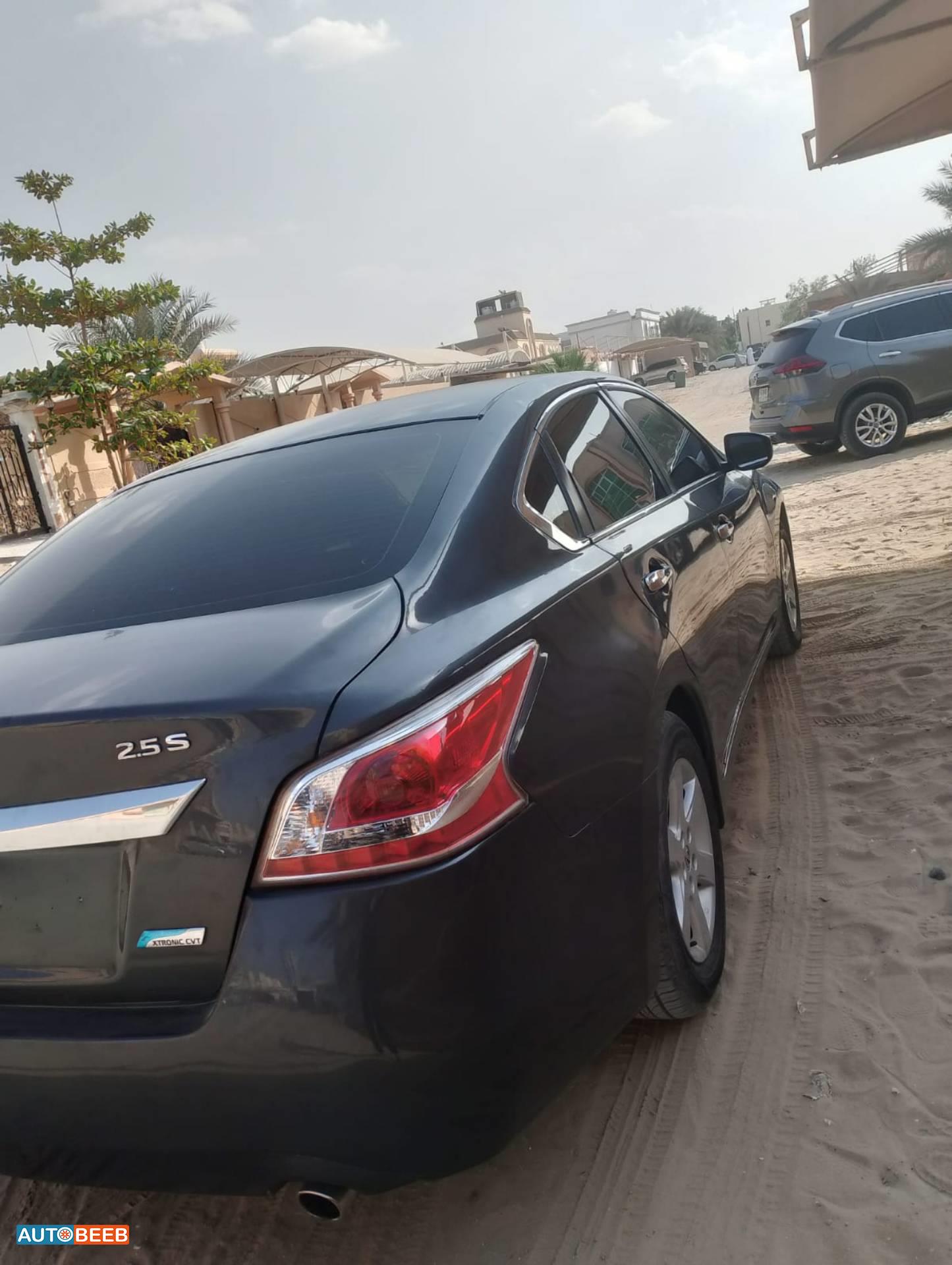 نيسان التيما 2013