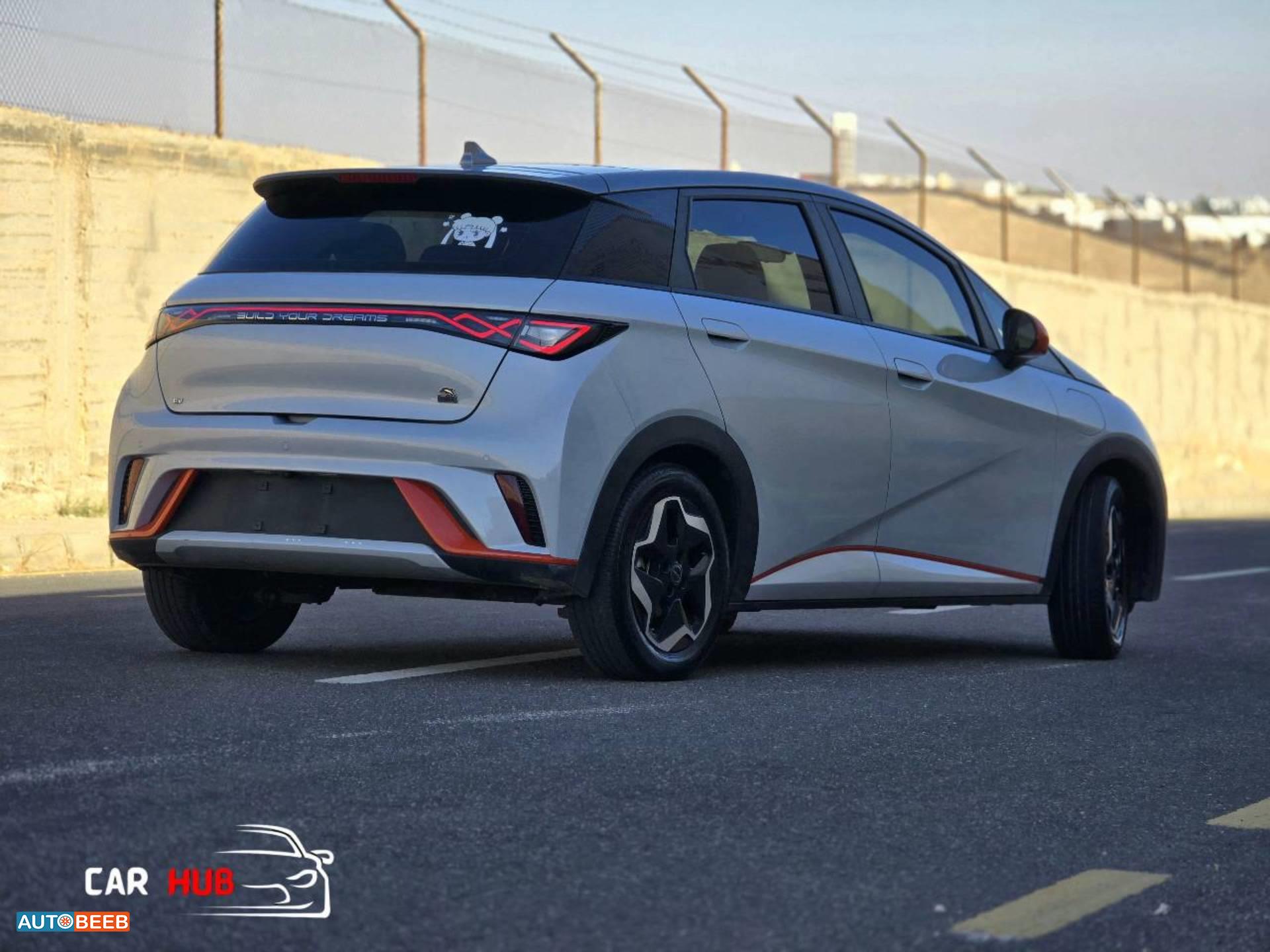 بي واي دي دولفين 2022