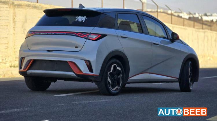 بي واي دي دولفين 2022