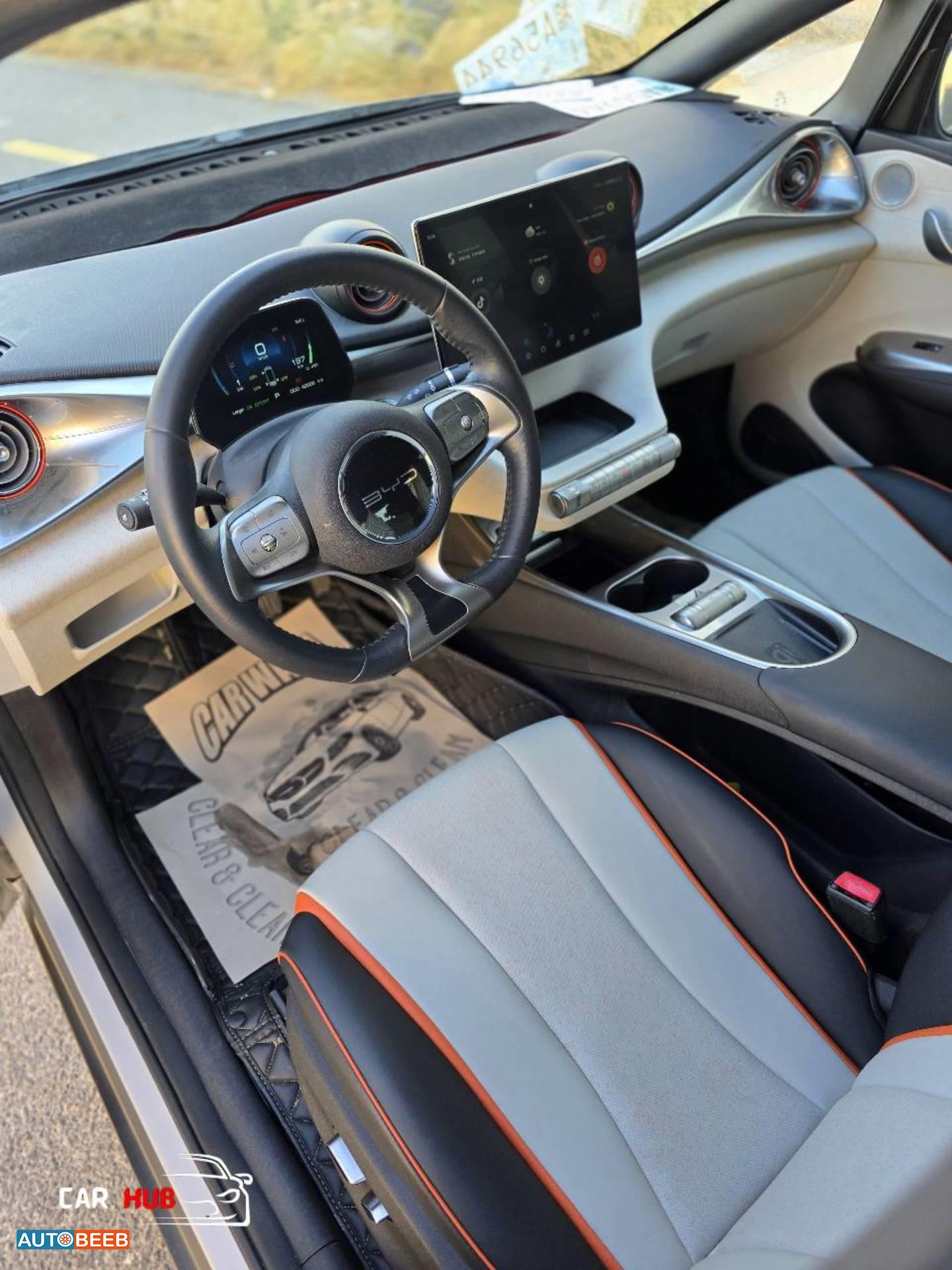 بي واي دي دولفين 2022