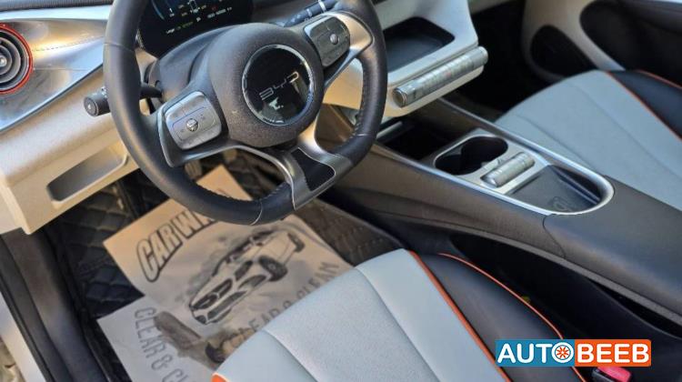 بي واي دي دولفين 2022