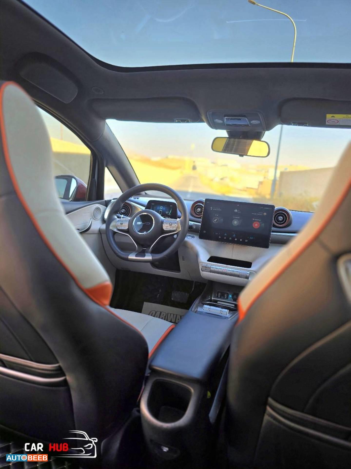 بي واي دي دولفين 2022