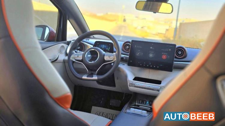 بي واي دي دولفين 2022