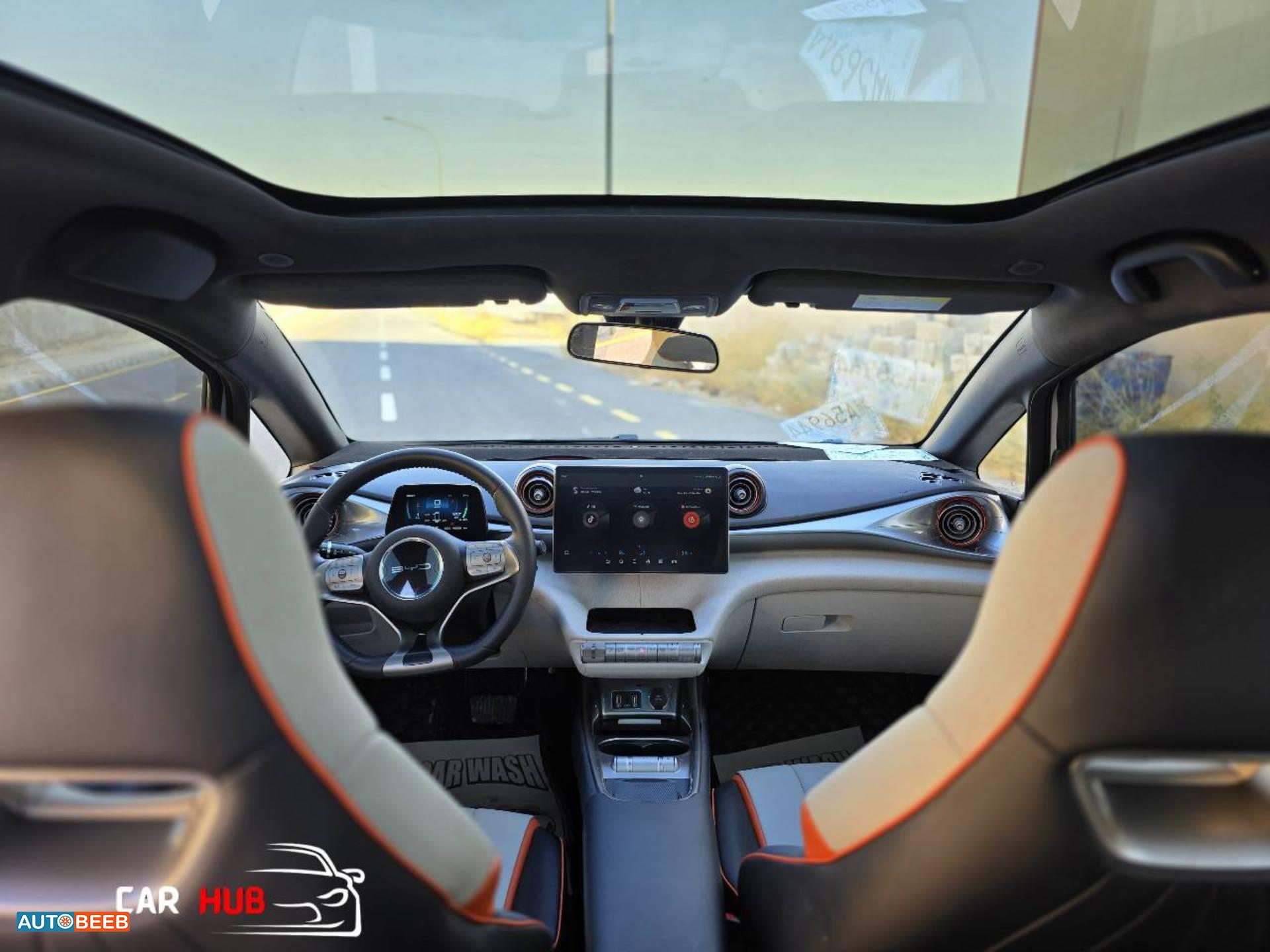 بي واي دي دولفين 2022