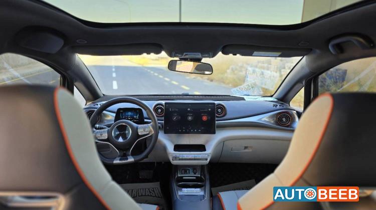 بي واي دي دولفين 2022