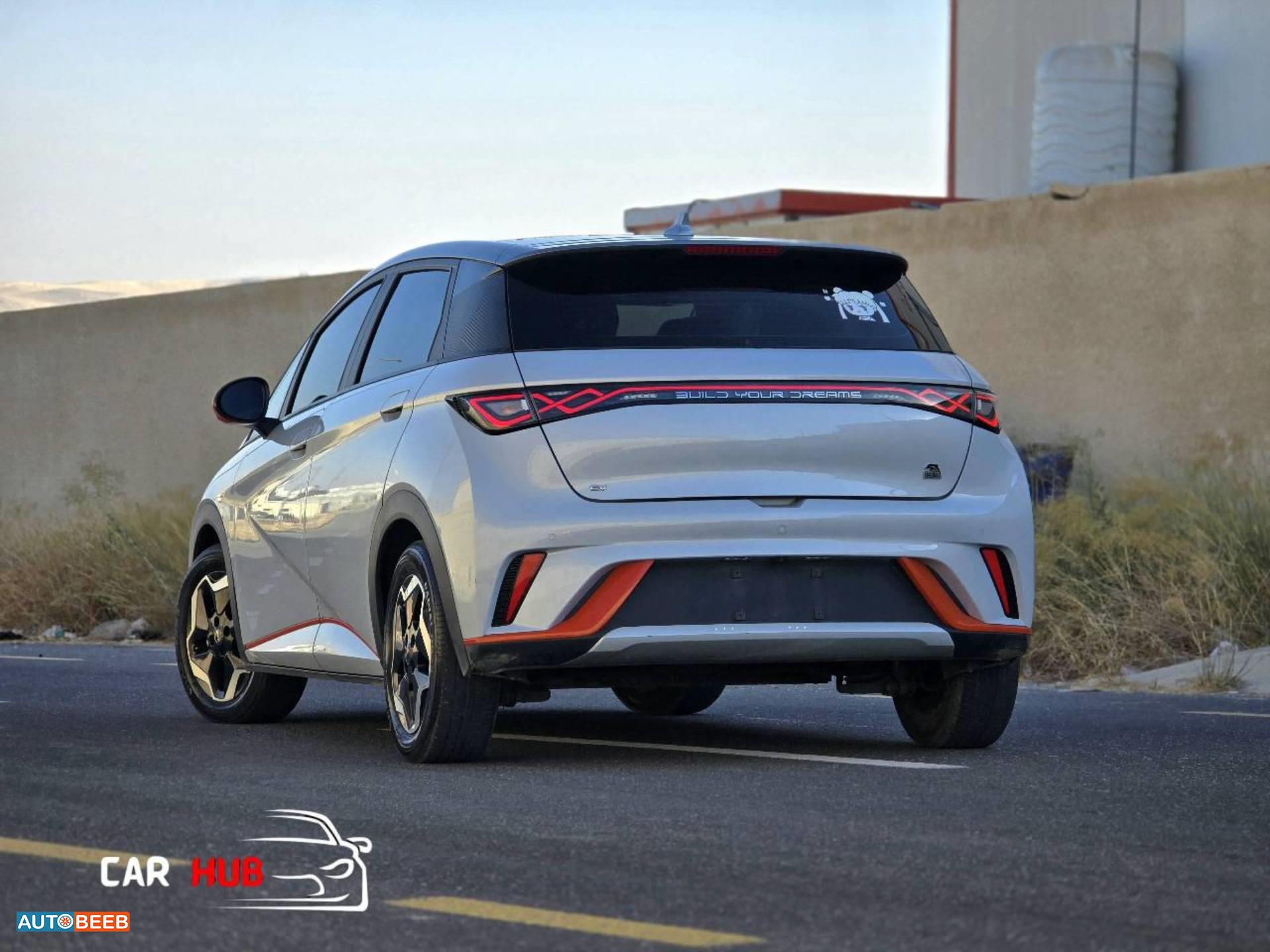 بي واي دي دولفين 2022