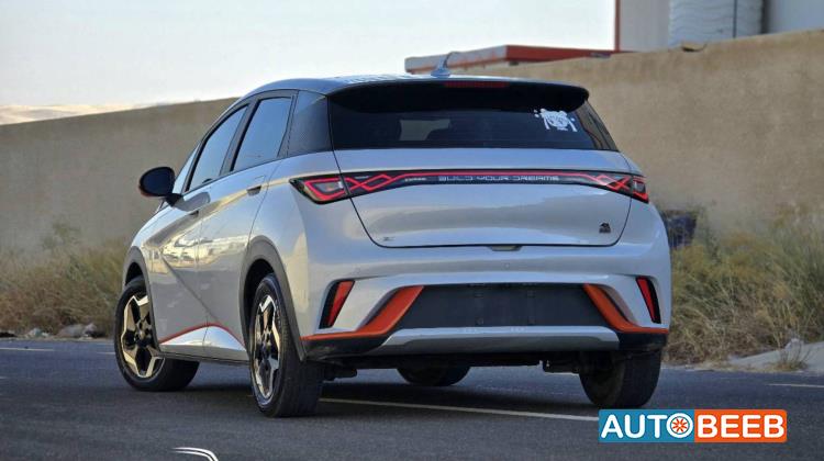 بي واي دي دولفين 2022