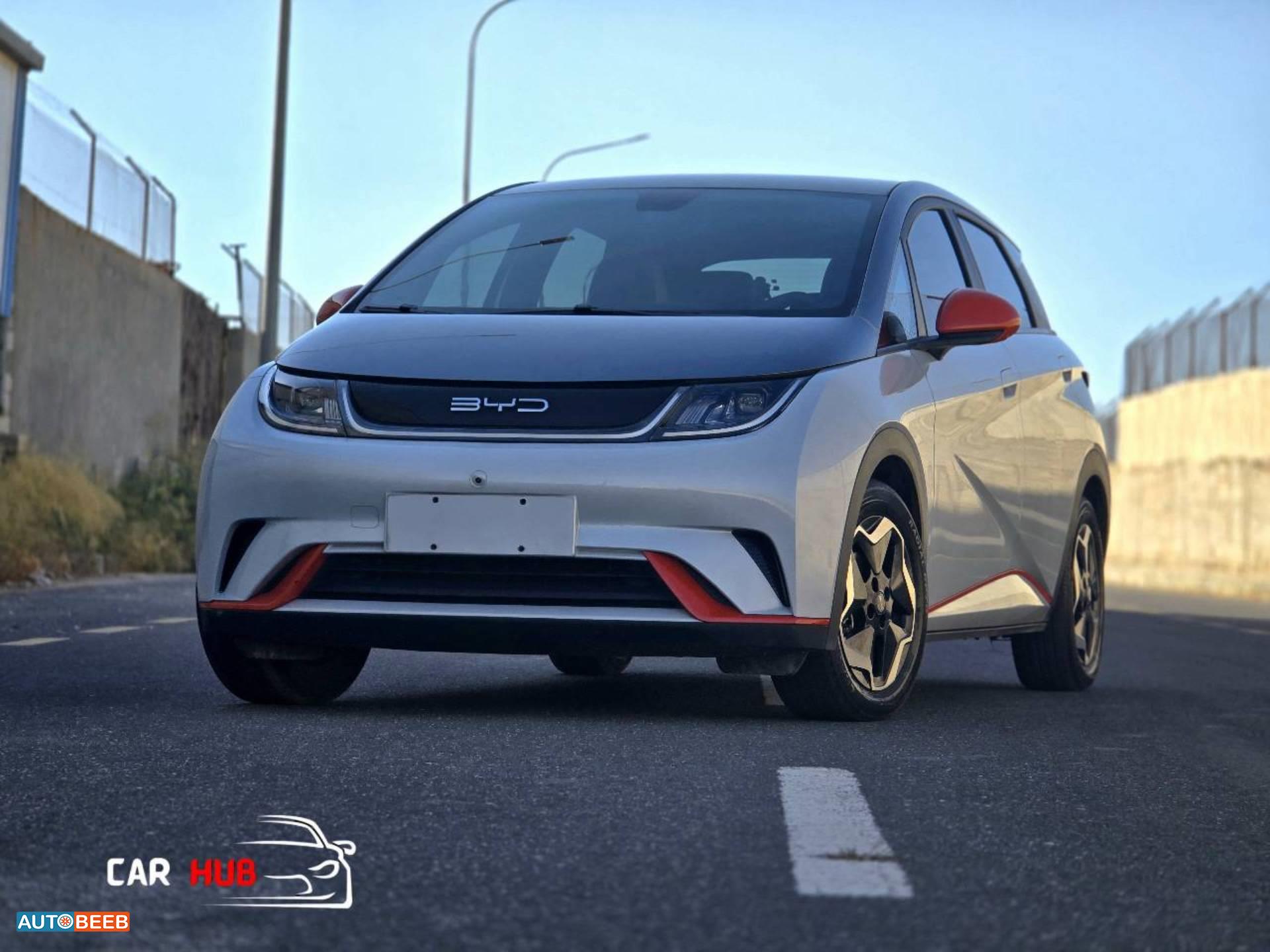 بي واي دي دولفين 2022