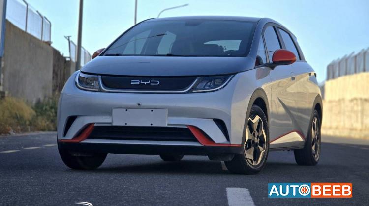 بي واي دي دولفين 2022