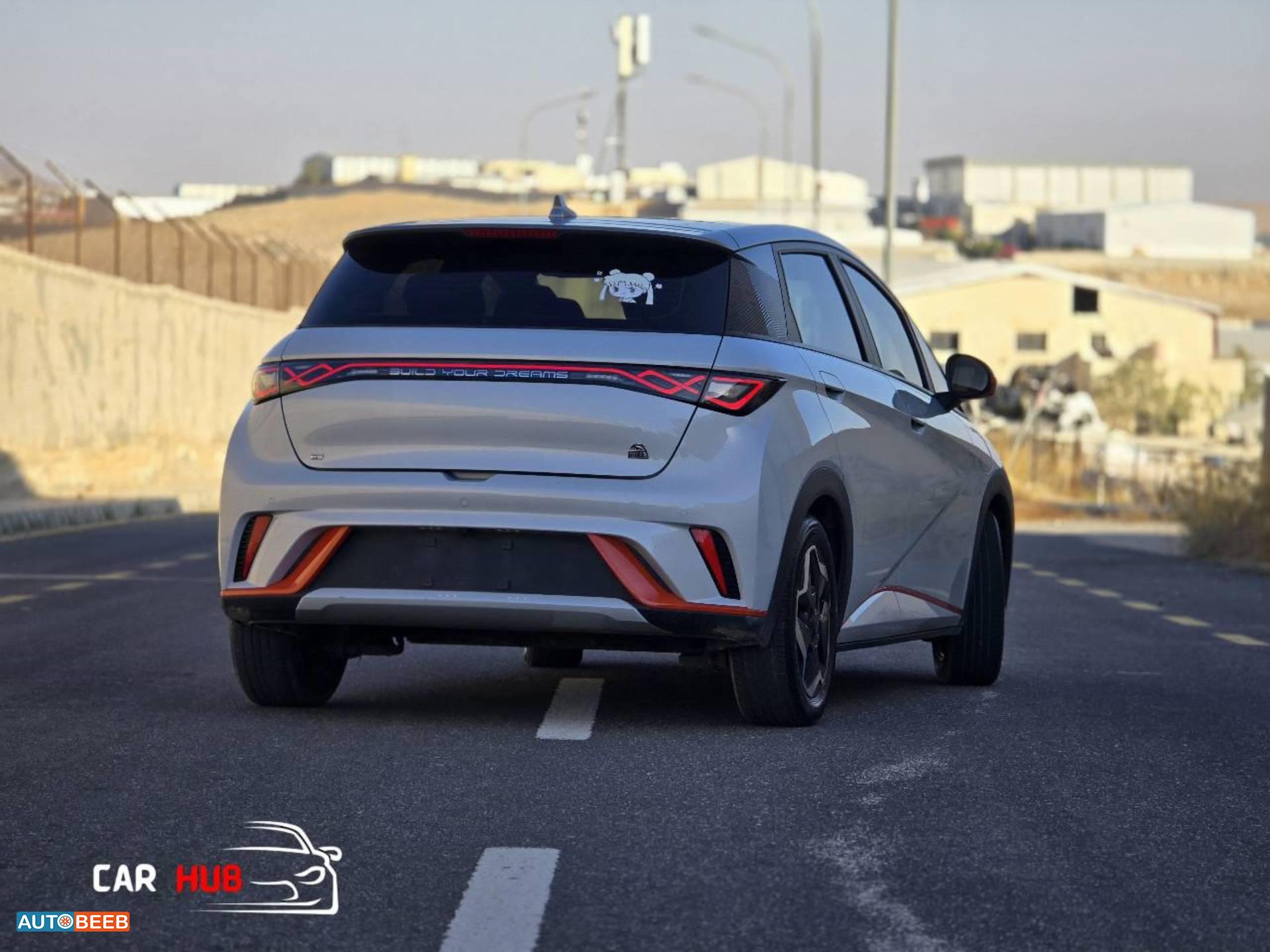 بي واي دي دولفين 2022