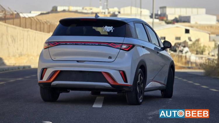 بي واي دي دولفين 2022