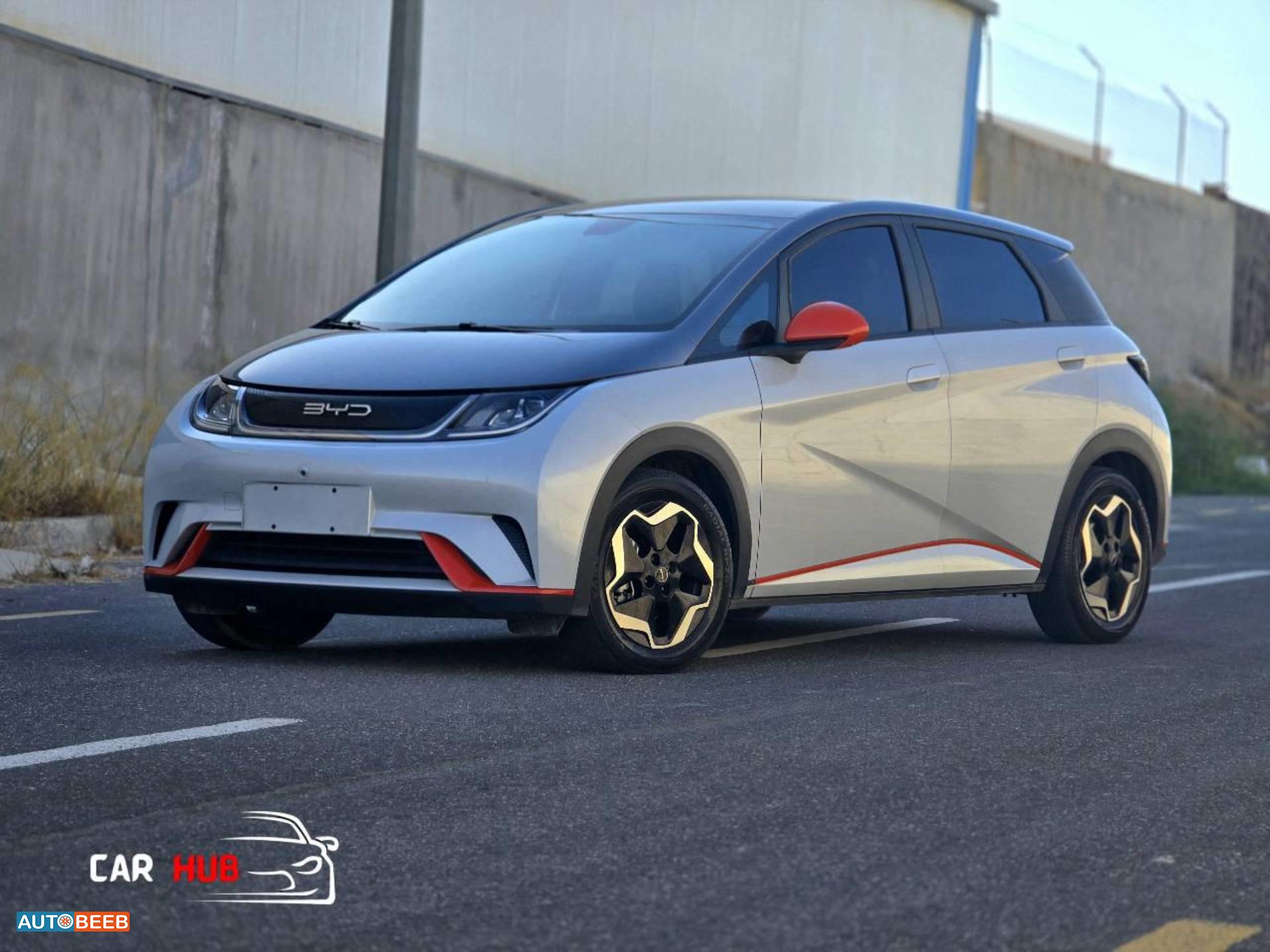 بي واي دي دولفين 2022