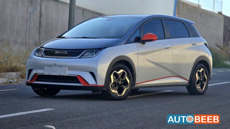 بي واي دي دولفين 2022