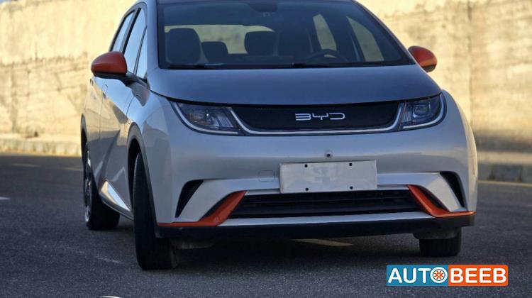 بي واي دي دولفين 2022