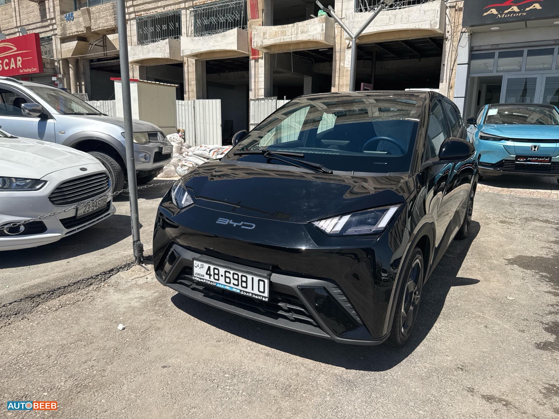 بي واي دي سيجول 2023