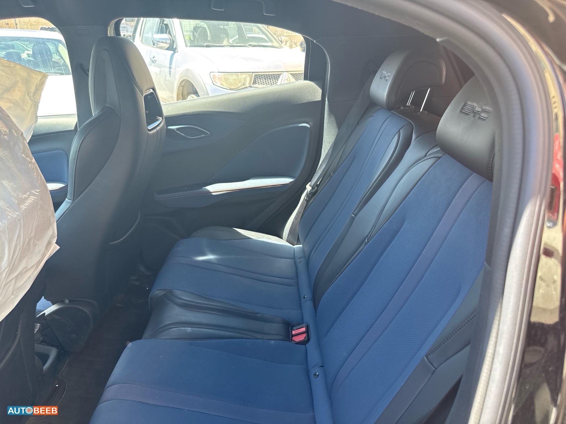 بي واي دي سيجول 2023