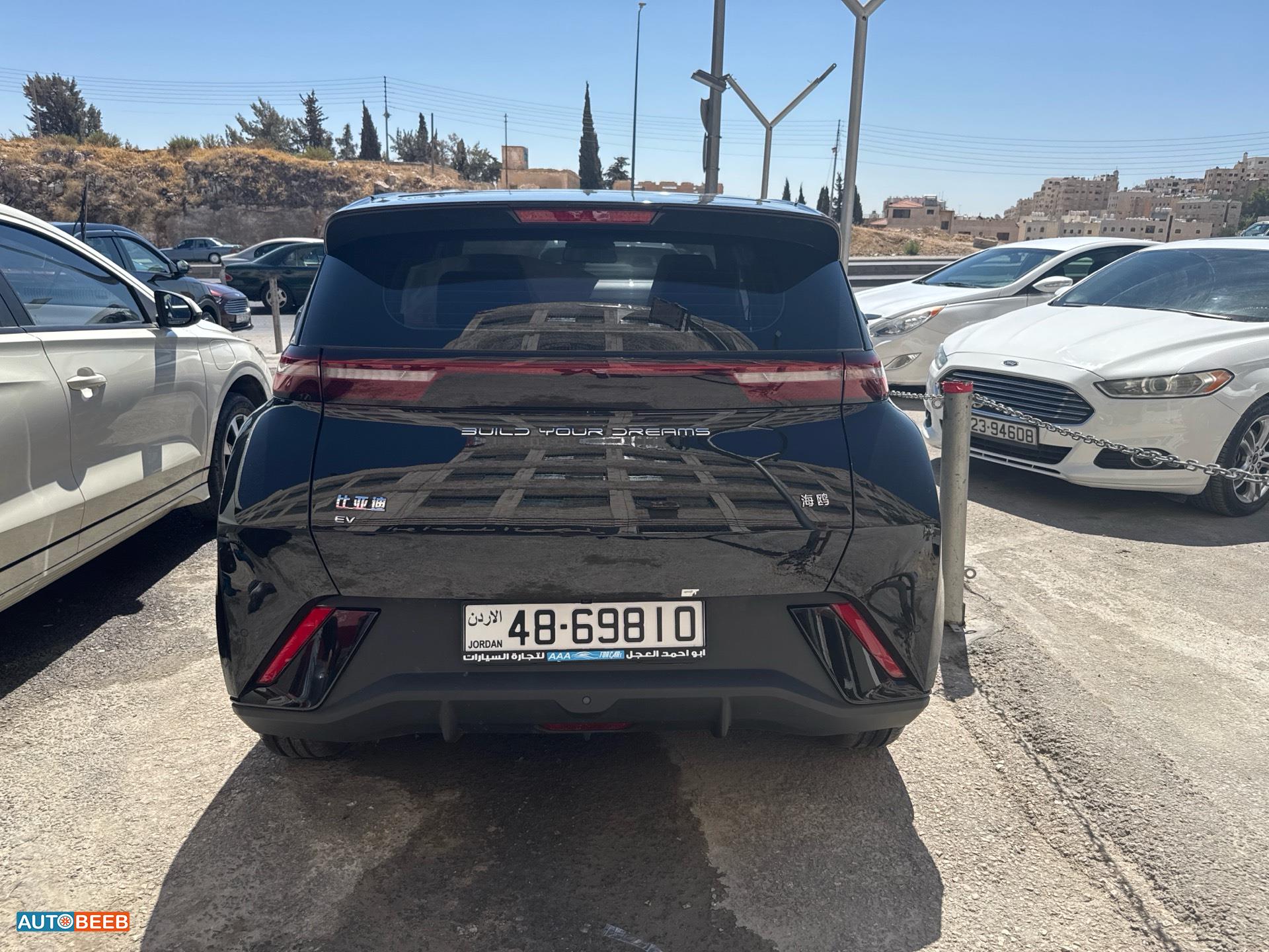 بي واي دي سيجول 2023