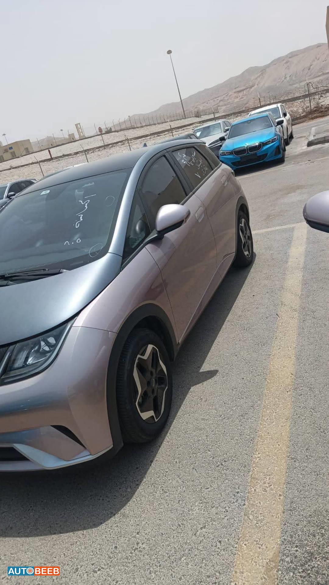 بي واي دي دولفين 2022